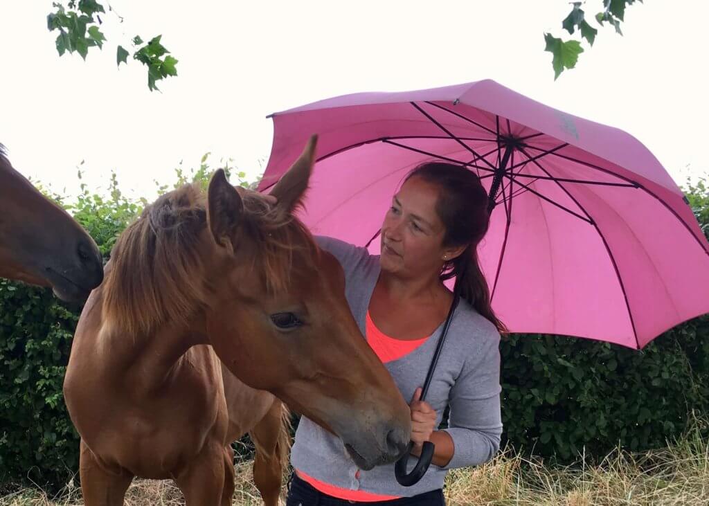 schriktraining 
Training jonge paarden
basistraining veulen