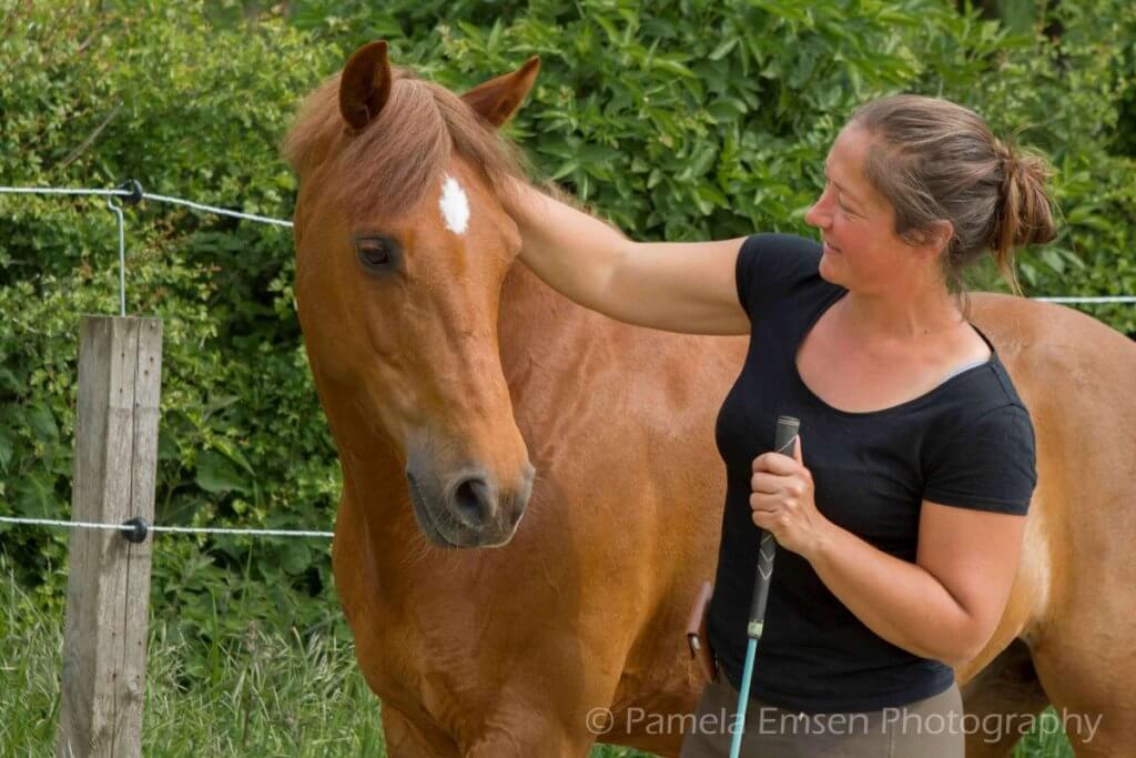 Grondwerk paard Magali Van der Heyden