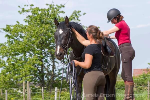 Zadelmak-maken-paard Magali-VanderHeyden