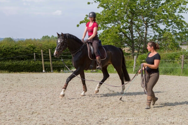 Zadelmak-maken-paard Magali-VanderHeyden