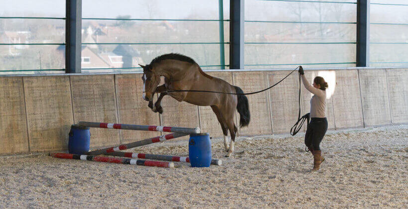 Magali Van der Heyden longeren paardtraining